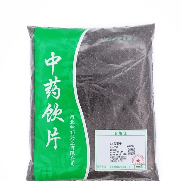 车前子